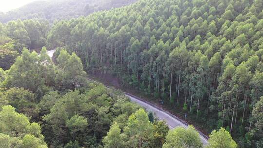 森林公路航拍树林道路汽车行驶航拍山区山路