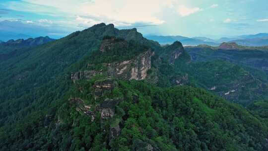 福建武夷山国家公园岩茶核心产区0557