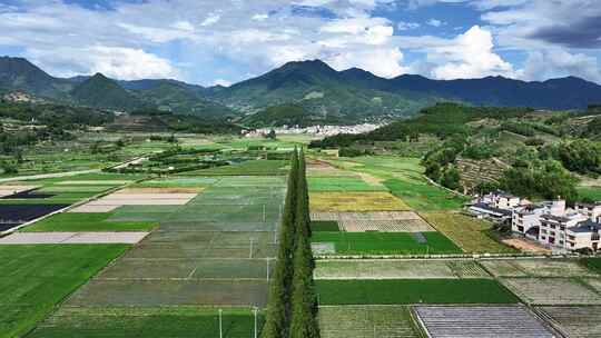 水稻田天府粮仓航拍