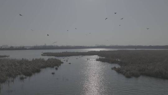 美丽中国-生态湿地