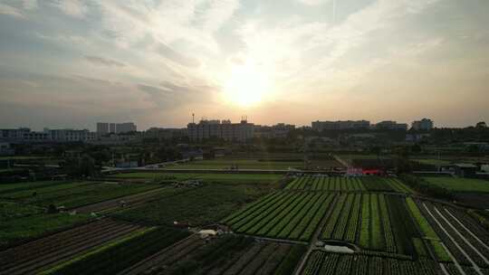 夕阳下的城郊农业基地航拍