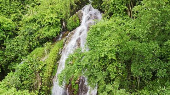 森林山涧瀑布流水