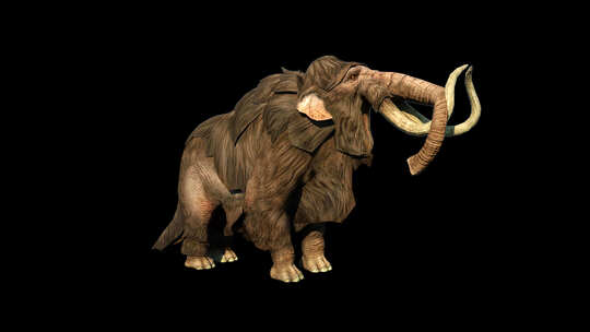 3D猛犸象大象动画（带透明通道)