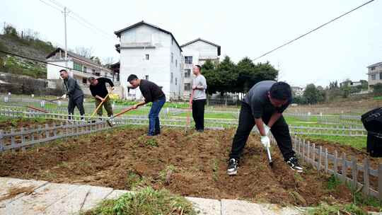 劳动空镜刨土锄地农场工人耕作劳作翻土