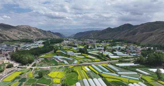 乡村振兴 乡村田野 乡村航拍 油菜花