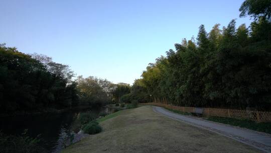 杭州西湖景区植物园