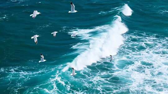海面上飞翔的海鸥与浪花