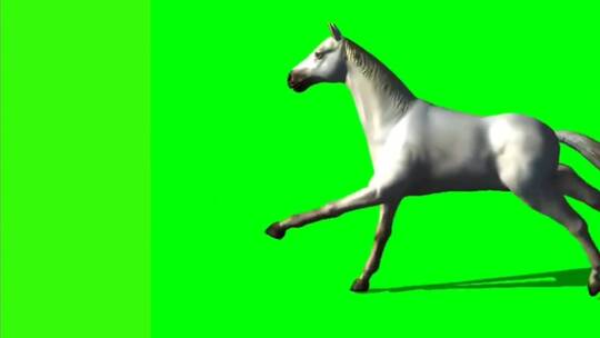 绿幕—激光—奔跑的马