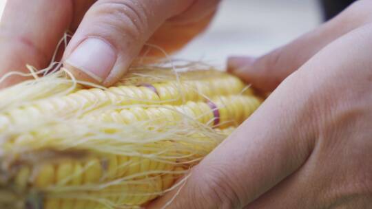 剥玉米洗玉米