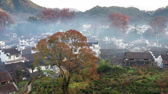 中国最美乡村婺源石城秋天的景色航拍视频