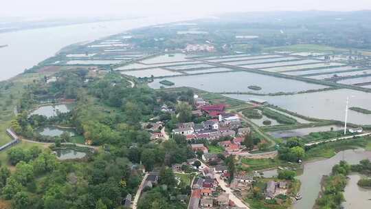 淮河 湿地生态 洪泽湖沿岸 三角洲地貌