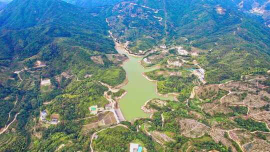 广东潮汕潮州市凤凰山茶园航拍