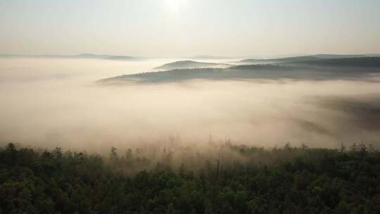 航拍视频 森林云雾