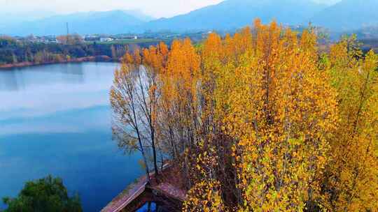 秦岭东沟水库秋冬季