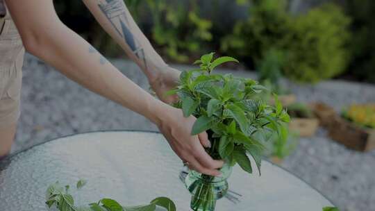 女人在玻璃花瓶里固定室内植物