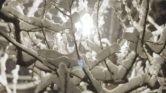 小区下雪夜景唯美飘雪