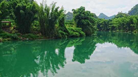 美丽江河畔竹子竹林自然风景