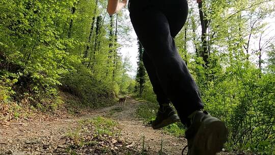 在森林小路跑步的女士