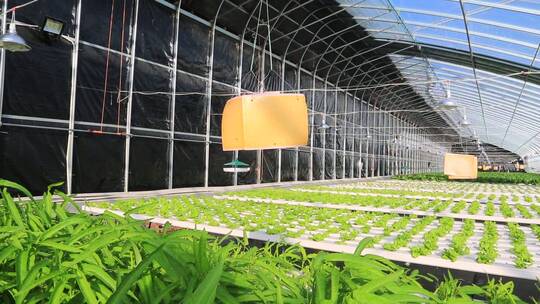 现代化农业温室大棚设施