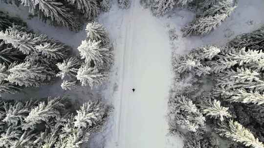 航拍一个男人走在森林雪地中