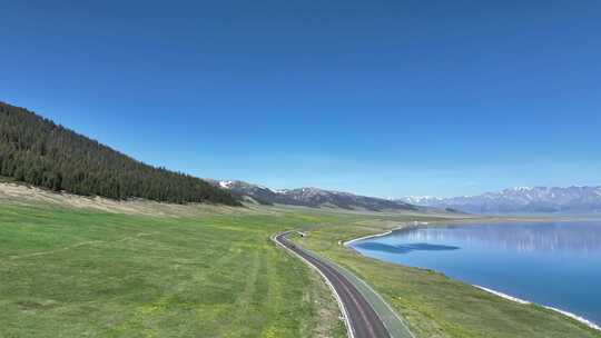 新疆赛里木湖环湖公路夏季风景 森林草原