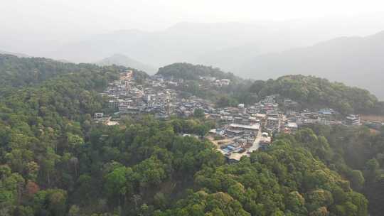 易武老班章勐海勐库冰岛茶茶园茶山