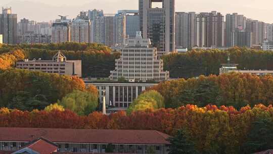 航拍城市落叶秋景西安交通大学