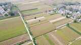 航拍农村玉米地庄稼农作物农业高清在线视频素材下载