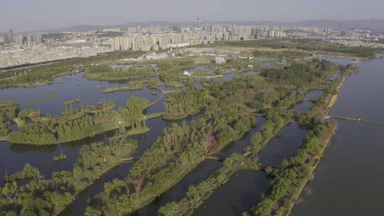 航拍昆明呈贡斗南湿地公园