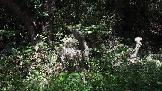 绍兴柯岩风景区罗汉院风景