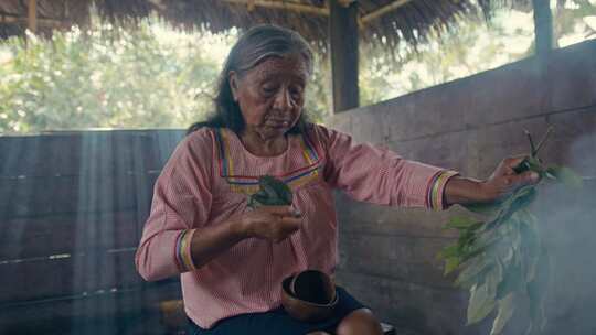 药女人，煮，叶，Guayusa