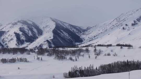 航拍冬季新疆阿勒泰禾木雪景雪山森林村落