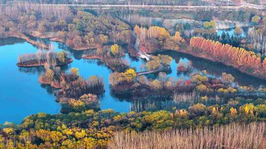 西安浐灞渭河湿地公园秋景