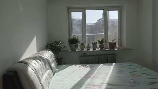 阳光透过摆满绿植的窗户撒到床上