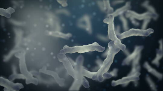 3d渲染细菌、细胞动画视频