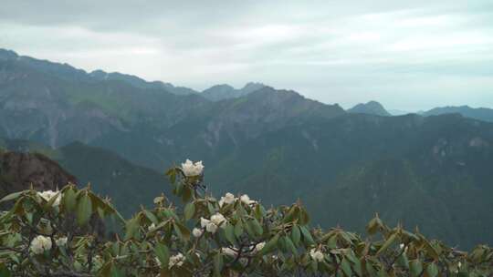 二郎山喇叭河航拍