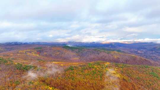 航拍大兴安岭秋季山林