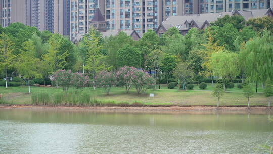 武汉江夏韵湖湿地公园风景