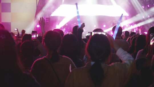 音乐节演唱会年轻人排队挥舞双手