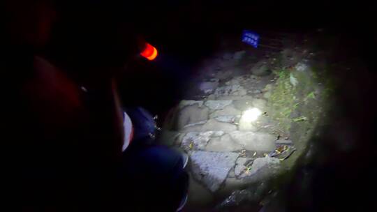 阳朔公园里的登山古道走夜路下山视频素材模板下载