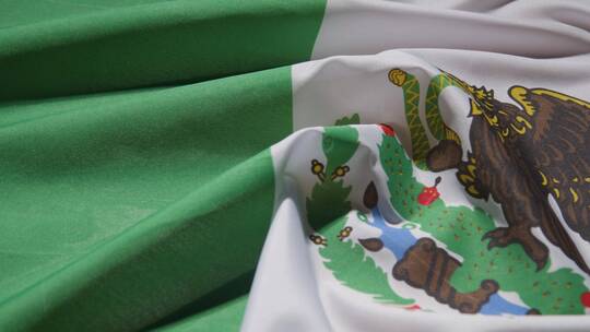 墨西哥国旗特写