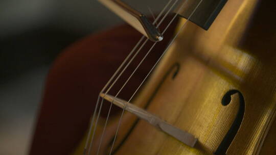 管弦乐队中的大提琴特写视频素材模板下载