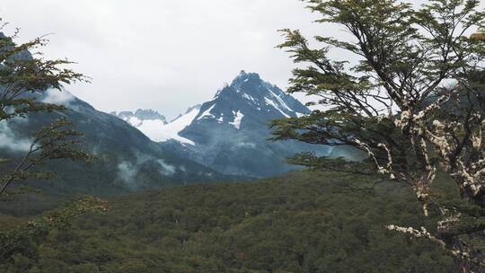 森林雪山夕阳日落合集