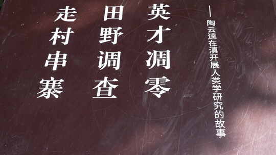 西南联大历史