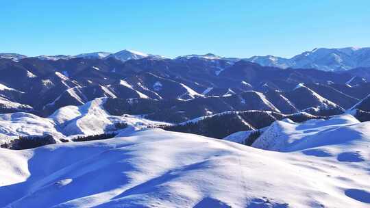 4k航拍冬季雪后祁连山草原