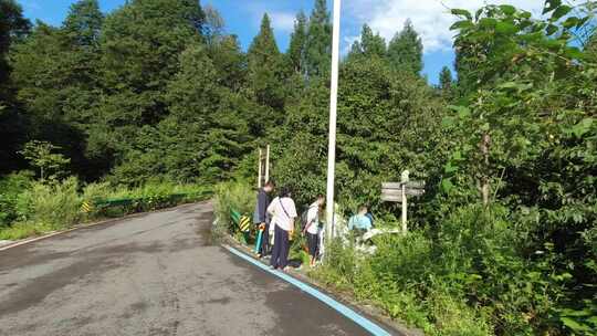 山林道路边几人聚集观察指示牌