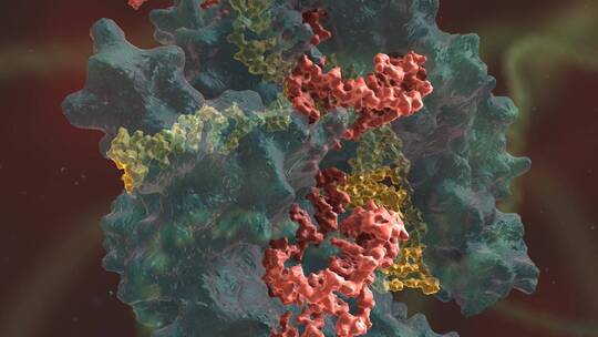 生物科学 基因编辑 DNA 基因工程 医学动画