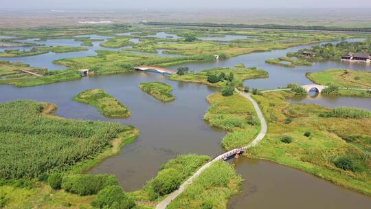 浙江慈溪市杭州湾国家湿地公园风光视频素材模板下载