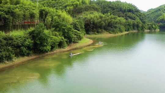 绿水青山水牛戏水白鹭栖息田园风光