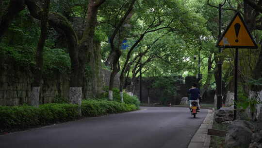 城市林道傍晚散步车流